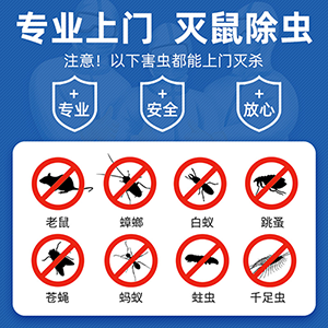 春節(jié)過(guò)后警惕宿遷市區(qū)老鼠蟑螂等害蟲反彈